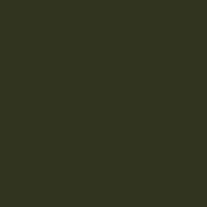 300x200-M10_verde_bosco_opaco