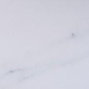 300x200-grande_marble_look_statuario
